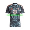 Bayern München Voetbalshirts Uit 2024-25